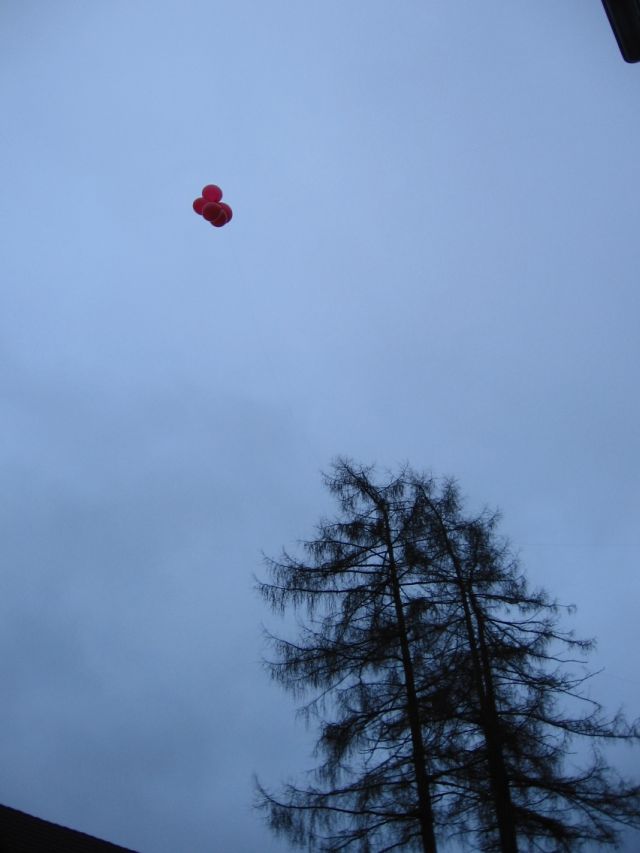 ballon010
